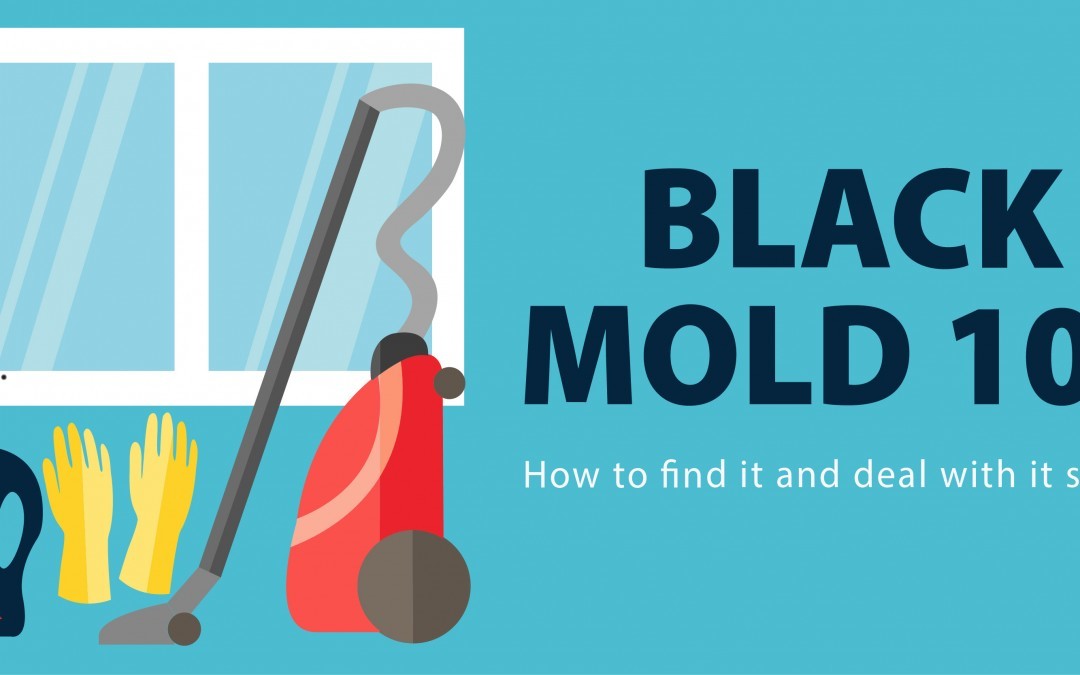 Black Mold 101: How To Find It And Deal With It Safely