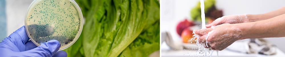 E. Coli infected by Romaine Lettuce (left), washing your hands (right)
